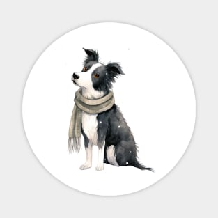 Border collie winter dog Magnet